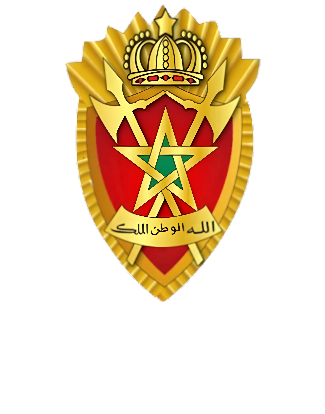 Inspection Générale Des Forces Auxiliaires